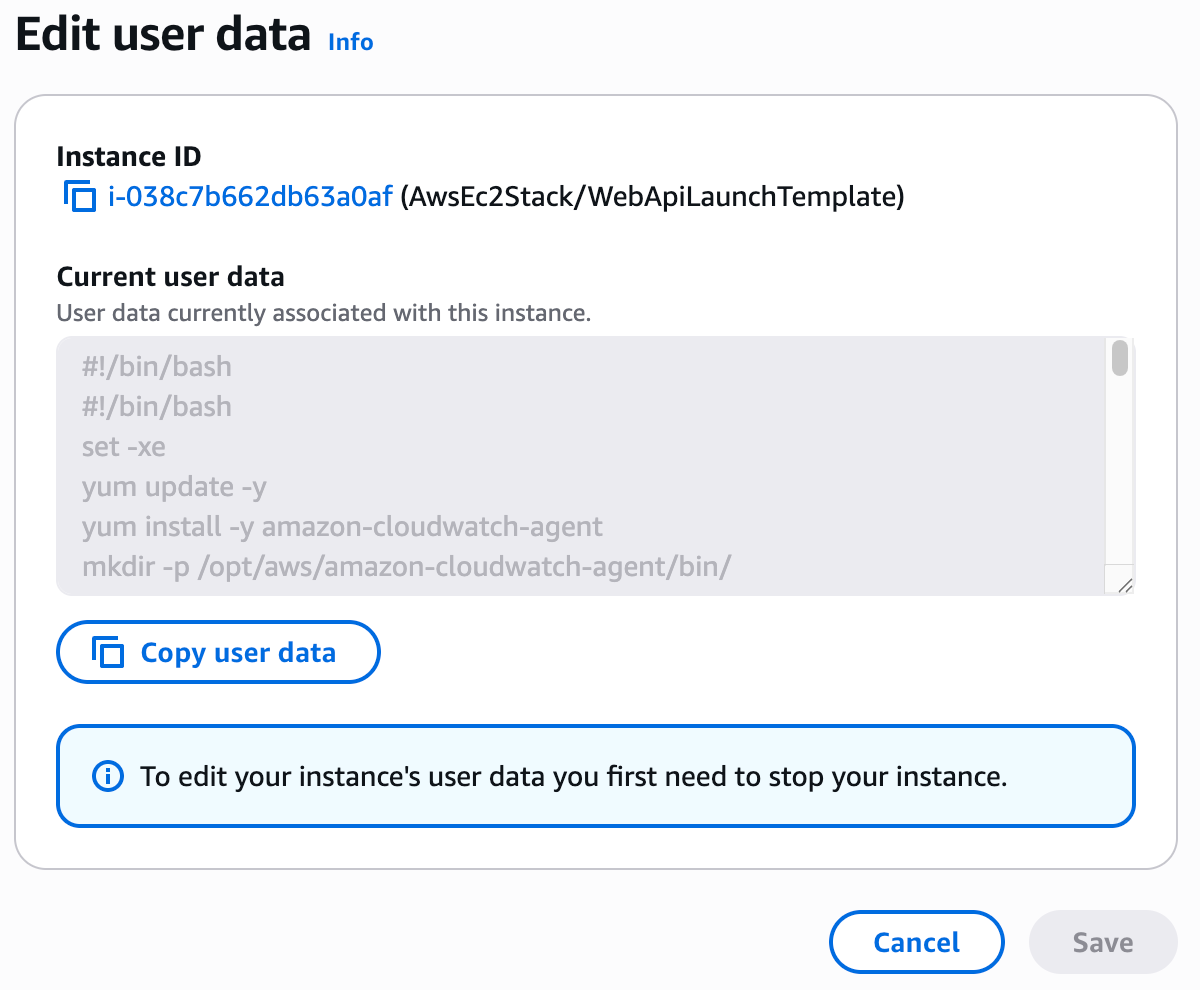 AWS Console showing the User Data script contents for an EC2 instance