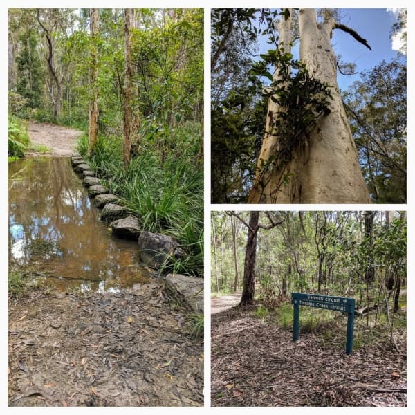 Venman Bushland National Park