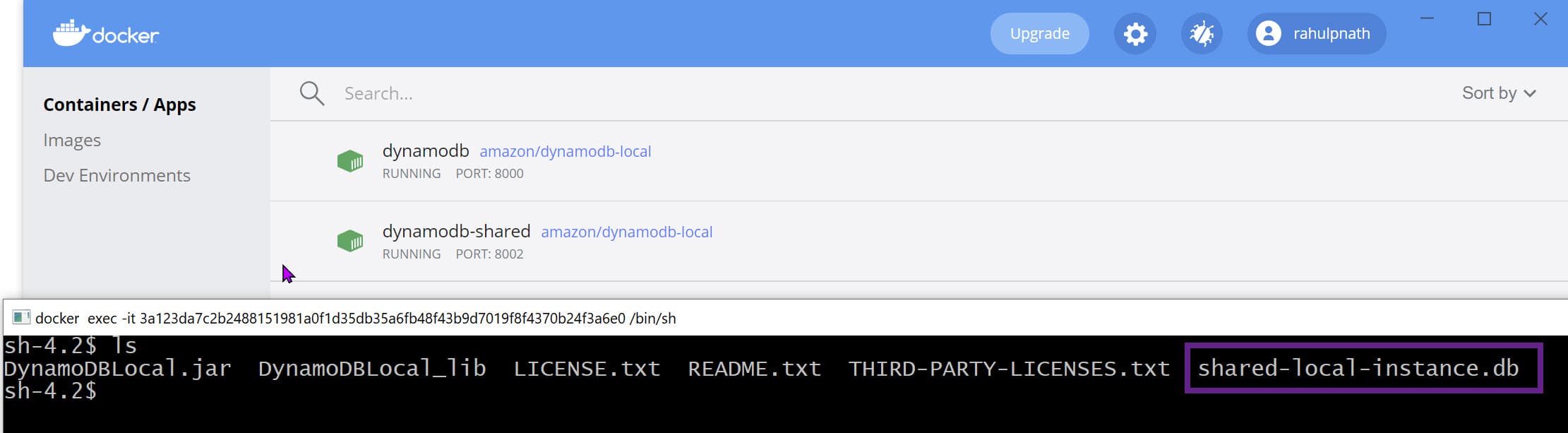 DynamoDB shared mode with cli visible, showing the shared-local-instance.db file highlighted