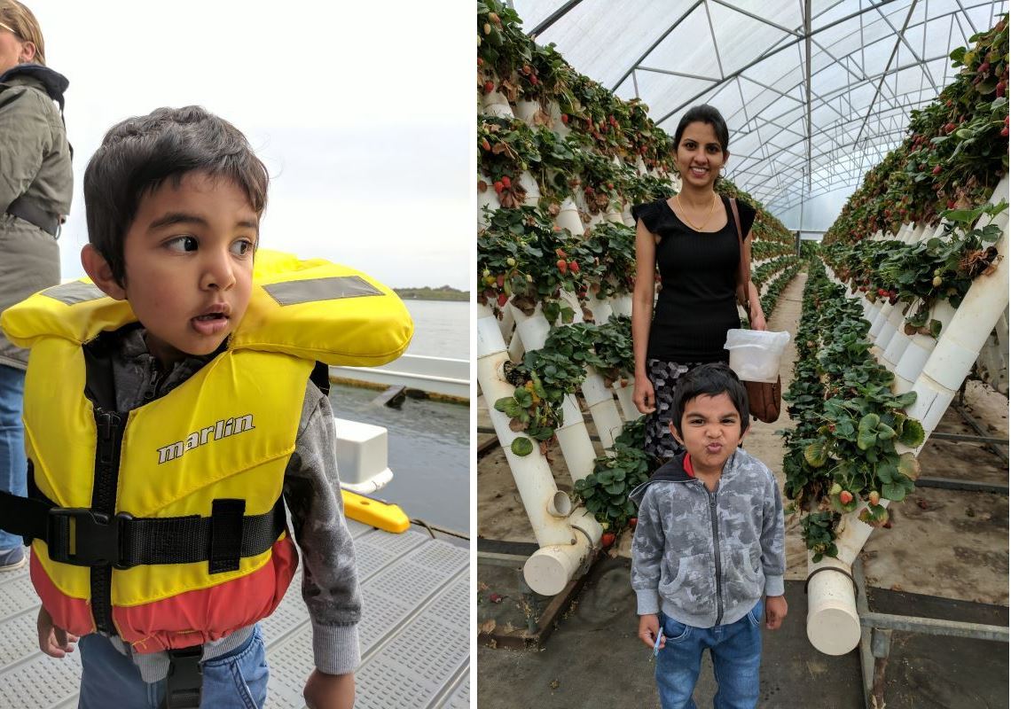 Whale watching and Strawberry picking, Port Macquarie